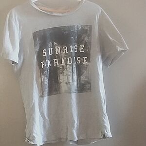 Women's size large T-shirts grey with grapics